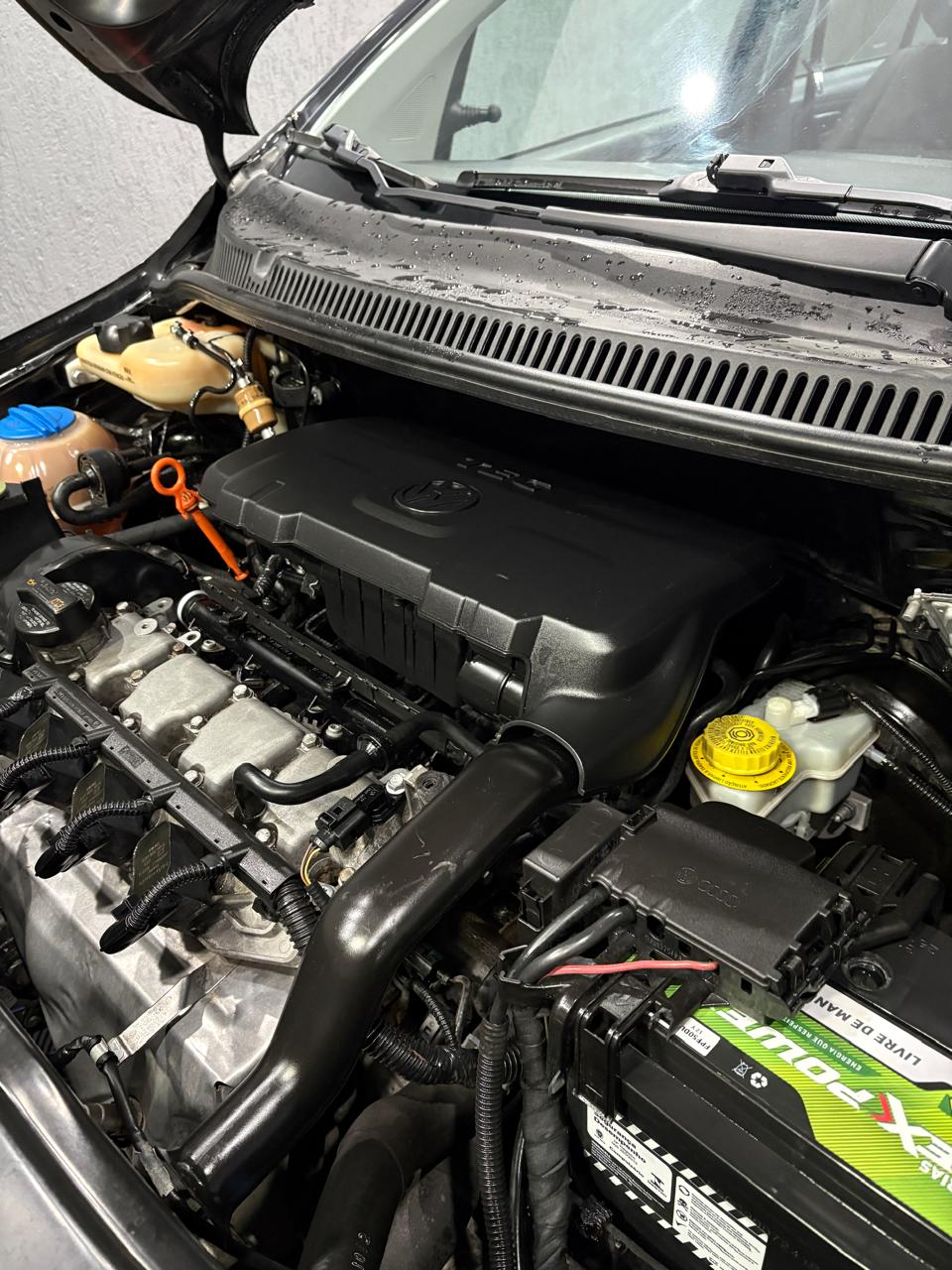 Motor higienizado